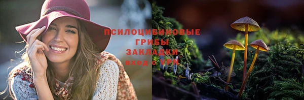 гашиш Елизово