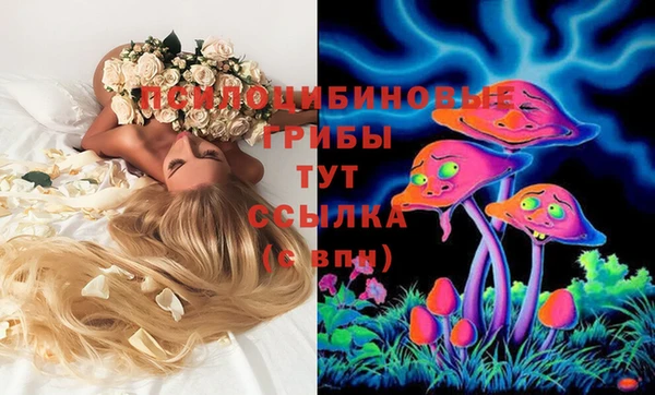 ПСИЛОЦИБИНОВЫЕ ГРИБЫ Елабуга