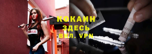 ПСИЛОЦИБИНОВЫЕ ГРИБЫ Елабуга