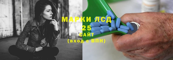 ПСИЛОЦИБИНОВЫЕ ГРИБЫ Елабуга