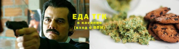 ПСИЛОЦИБИНОВЫЕ ГРИБЫ Елабуга