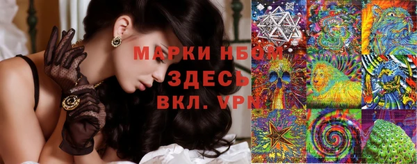 ПСИЛОЦИБИНОВЫЕ ГРИБЫ Елабуга