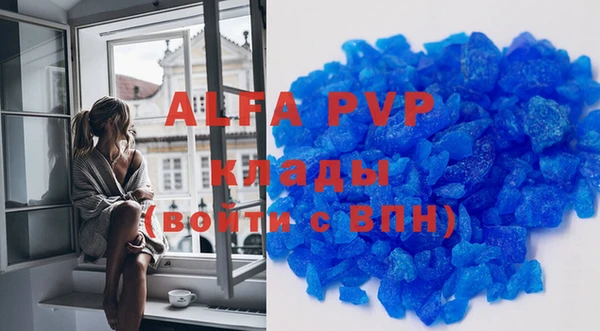 ПСИЛОЦИБИНОВЫЕ ГРИБЫ Елабуга