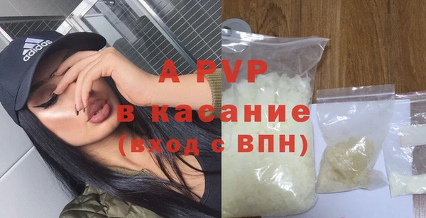 ПСИЛОЦИБИНОВЫЕ ГРИБЫ Елабуга