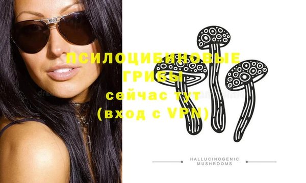 ПСИЛОЦИБИНОВЫЕ ГРИБЫ Елабуга