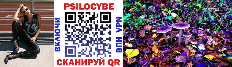 дарк нет как зайти Калачинск Галлюциногенные грибы Magic Shrooms